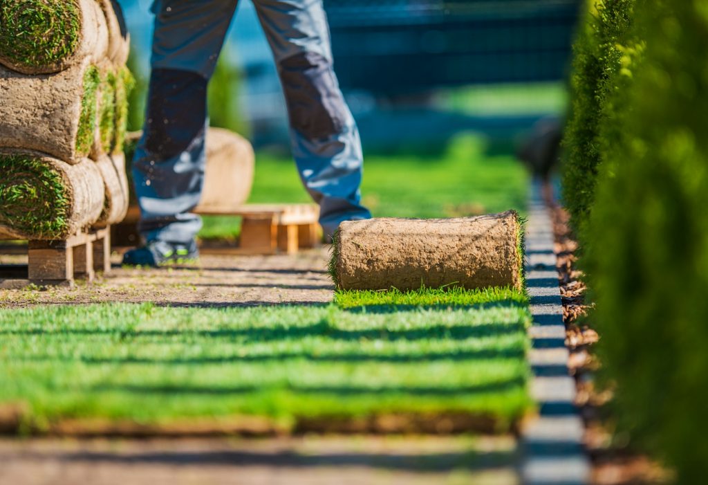 Grass Lawn Installation