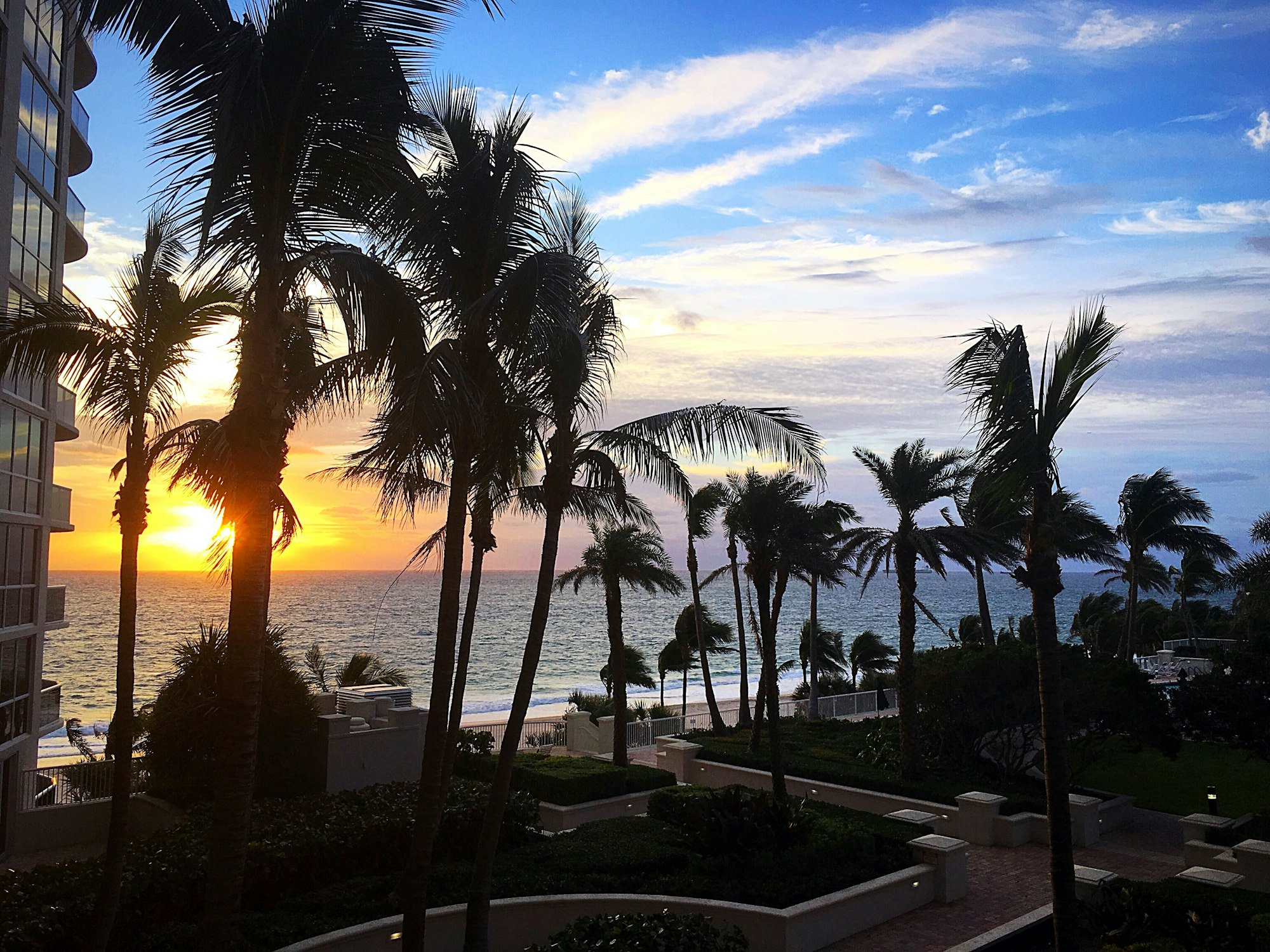 Tropical vibes sunrise palm trees on Atlantic Ocean in Florida